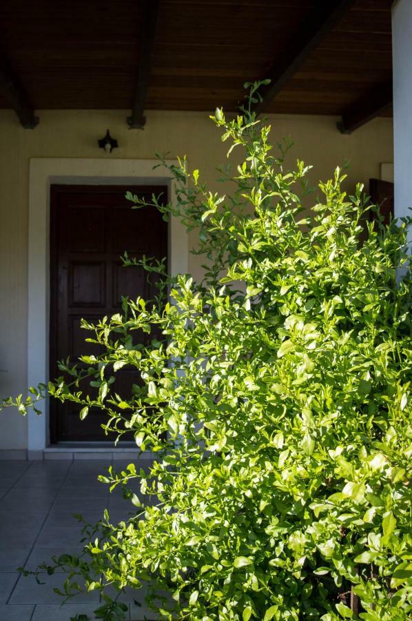 Olive Grove Zakynthos Apartment Langadhakia