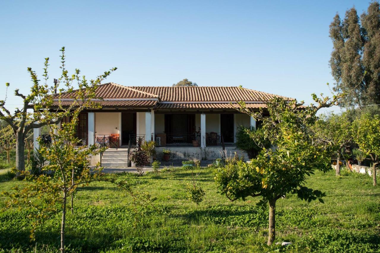 Olive Grove Zakynthos *